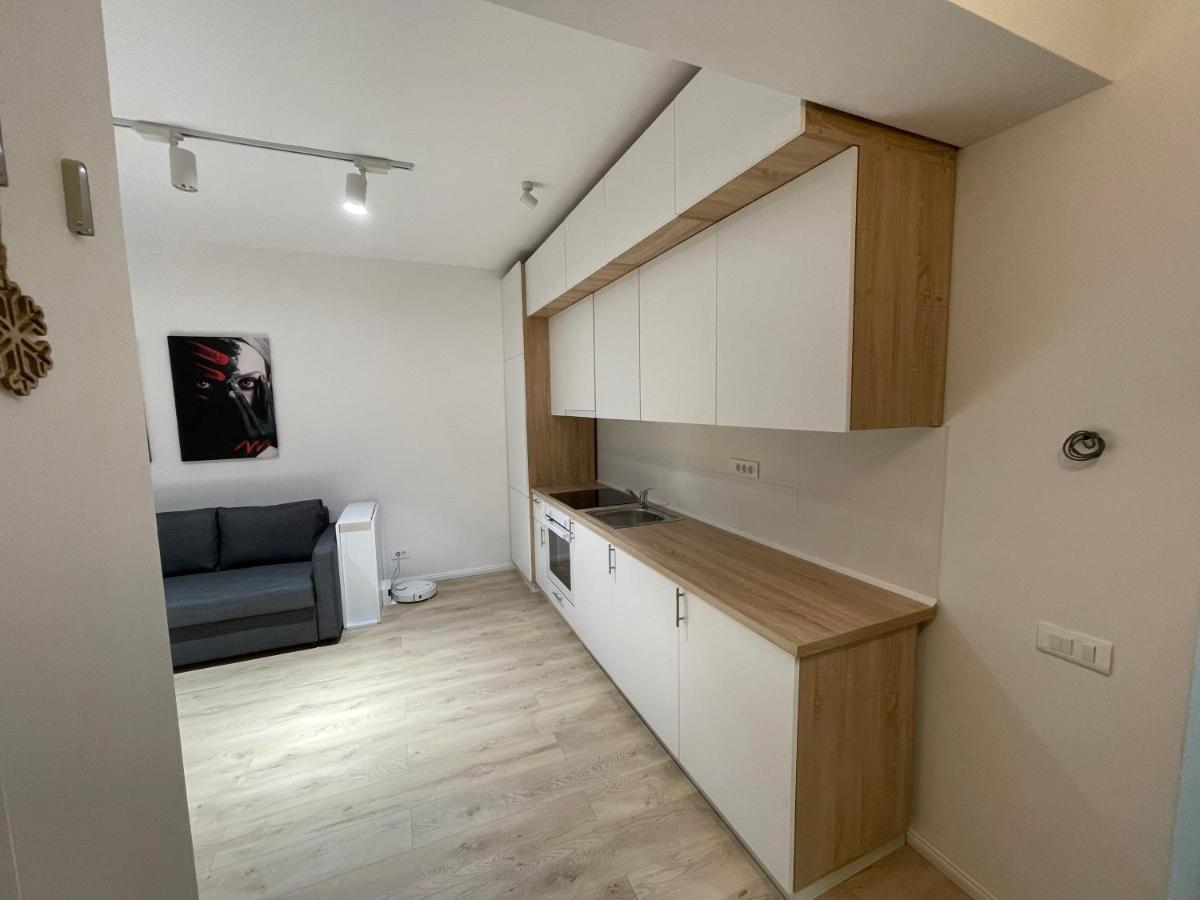 Amethyst Luxury Apartment Palace Бухарест Екстер'єр фото